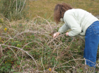 thumbs/emily_blackberries_connemara.png