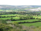 thumbs/farms_burren.png