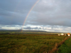 thumbs/rainbow_doolin.png