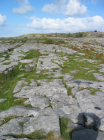 thumbs/rocks_burren.png