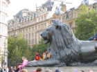 thumbs/trafalgar_square_lion.png