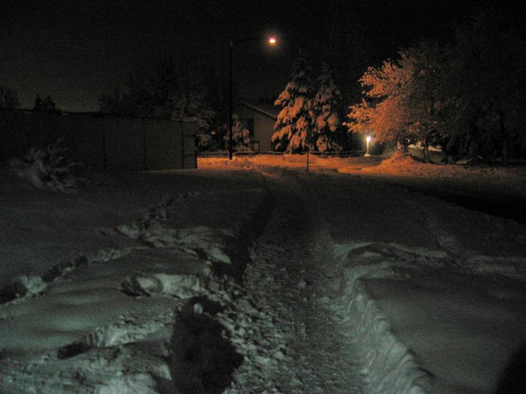 night_lights.jpg