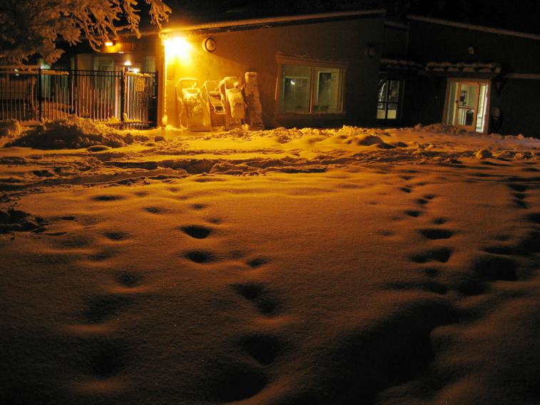 night_lounge_chairs.jpg
