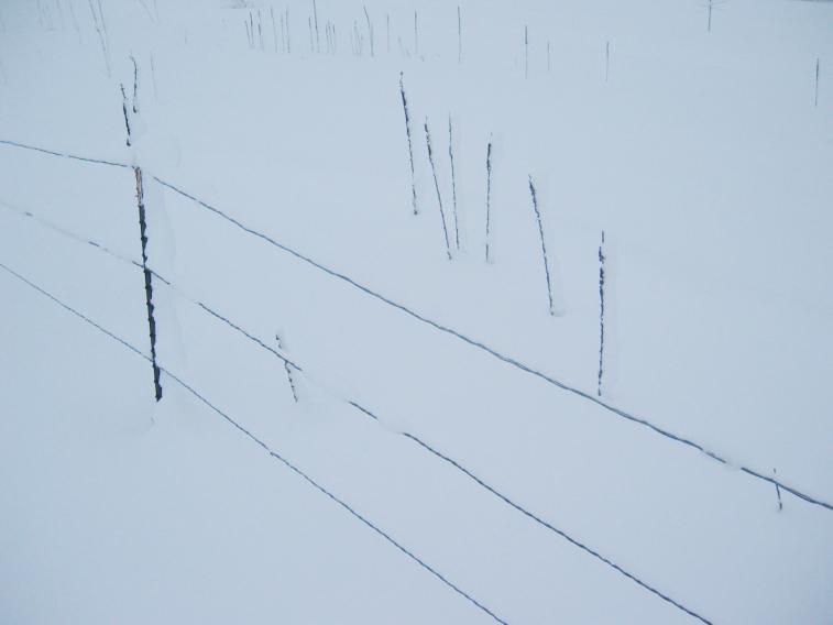 os_fence.jpg