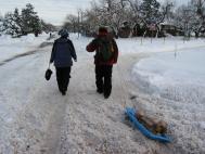 grocerywalk_sled_tow.jpg