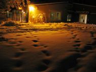 night_lounge_chairs.jpg