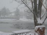 snowing.jpg