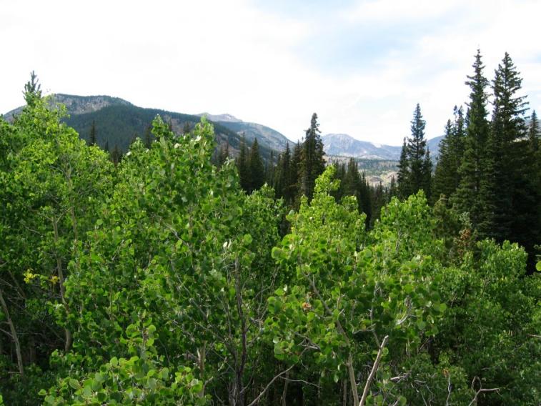 aspen_view.jpg