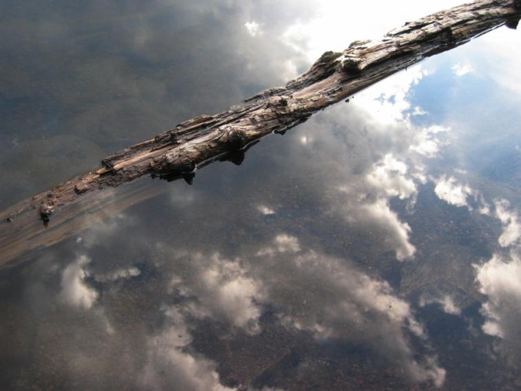 lake_reflect_log.jpg