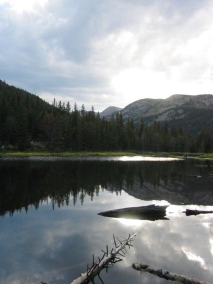 lake_reflect_view_vert2.jpg