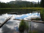 lake_reflect_view1.jpg