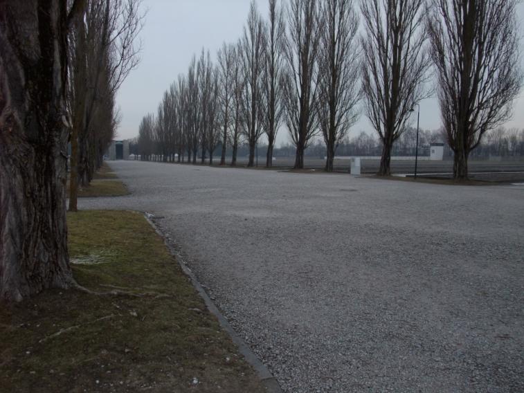 dpp_0088.jpg