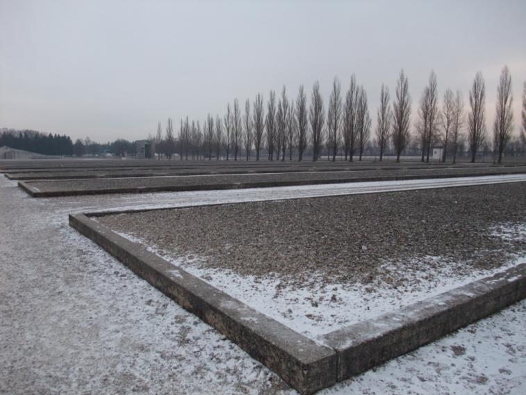 dpp_0089.jpg