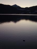 dpp_0083.jpg
