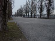 dpp_0088.jpg