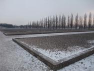 dpp_0089.jpg