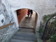 dpp_0115.jpg