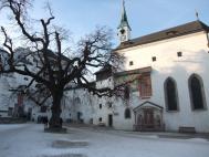 dpp_0156.jpg