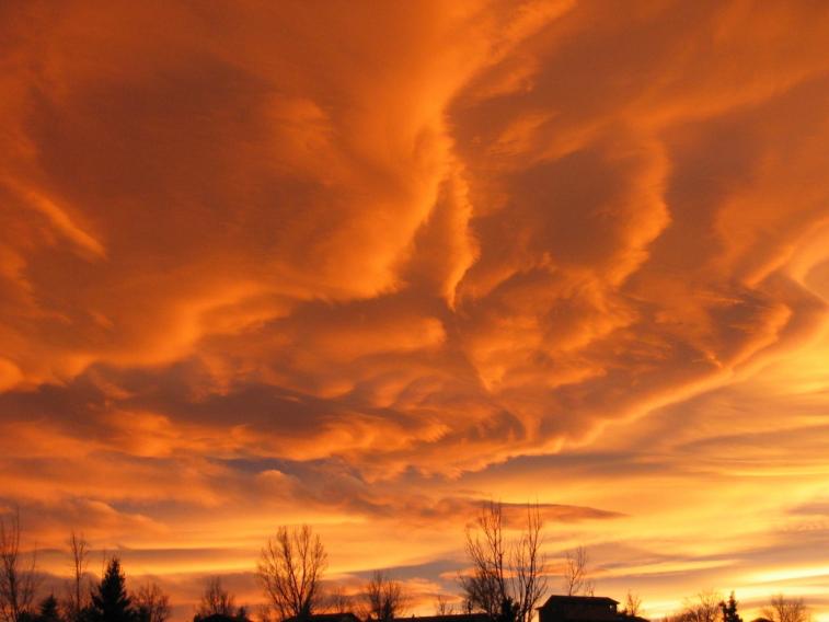 nov06_orange.jpg