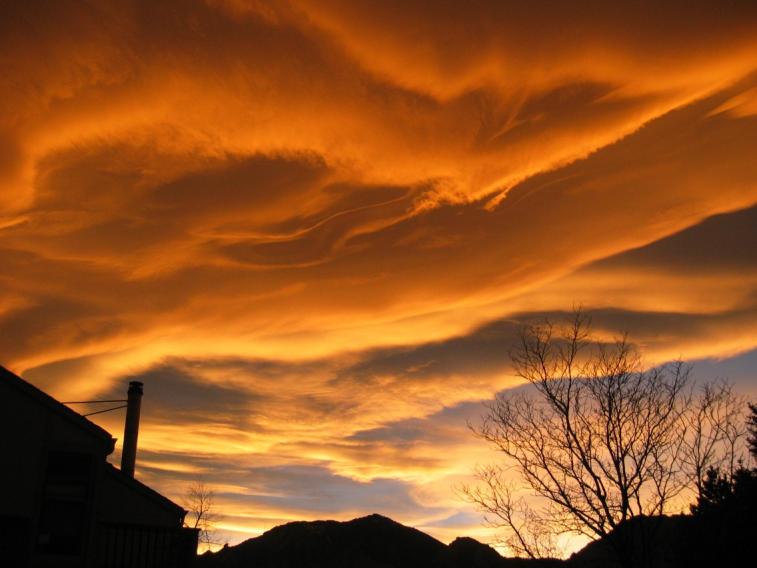 nov06_orange1.jpg