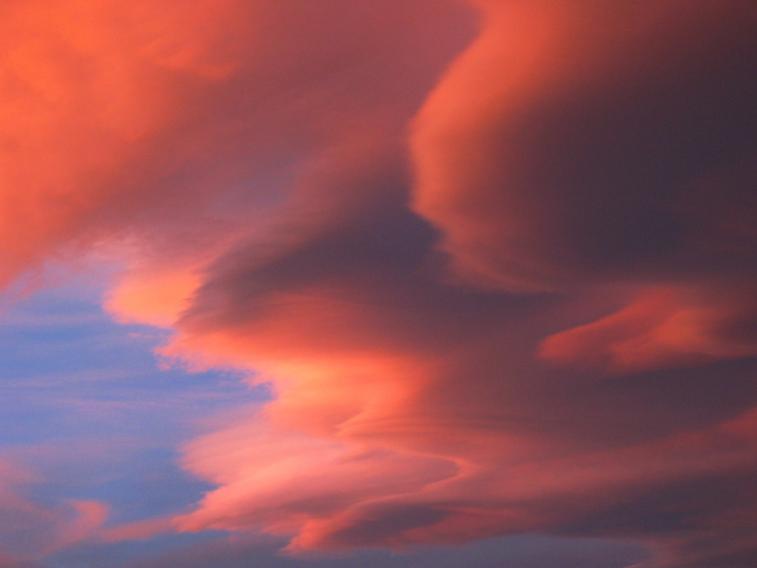 nov06_pinkblue.jpg