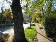 stopsigns.jpg