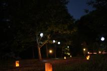 dpp_0163.jpg