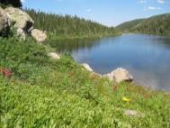 lake_flowers.jpg