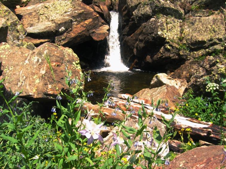 waterfall_flowers.jpg