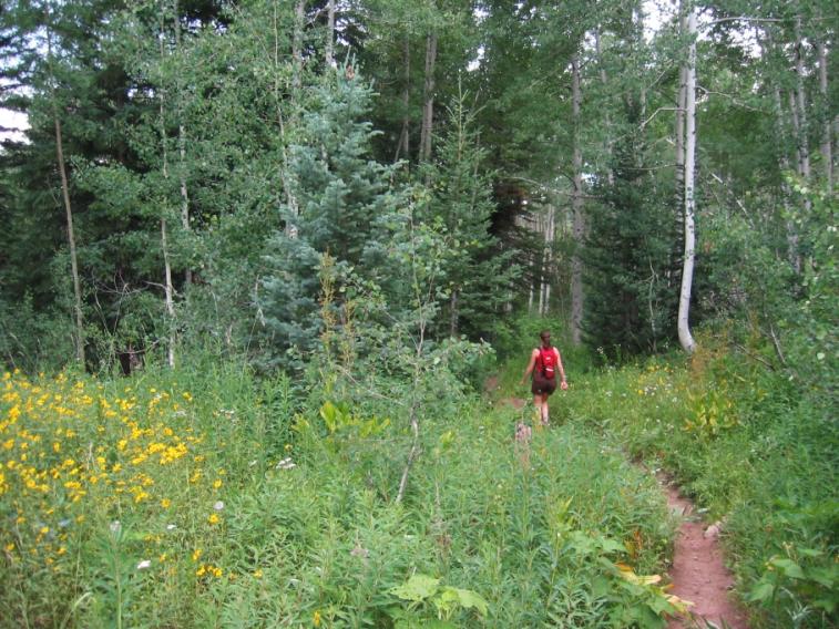 woods_diana.jpg