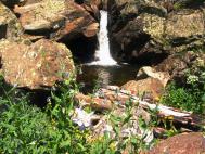 waterfall_flowers.jpg